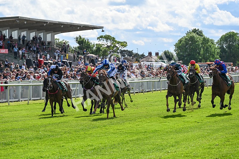 310526-Race 2-Dazzling Haze-8391 - Race 2 16.15pm Flutter Proud To Support Young Lives Vs Cancer Handicap