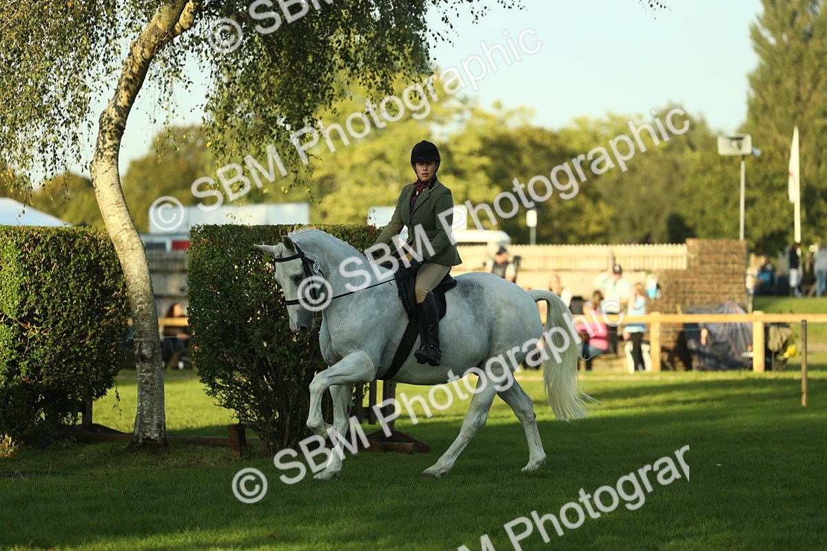 SBM_55545 - S14 - Riding Club Horse