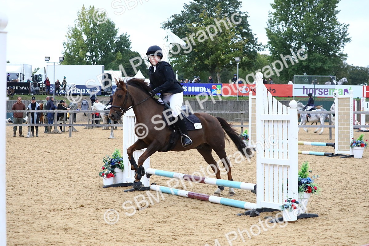 SBM_68327 - J3b - Mini Tour Junior Pony 40cm Championship
