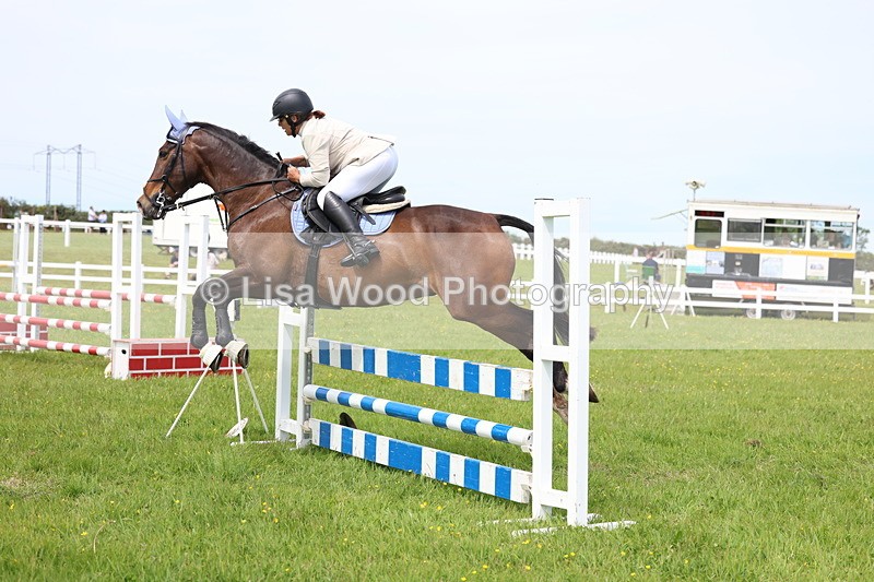 3E7A1460 - Class 13: Senior British Novice/90cm open