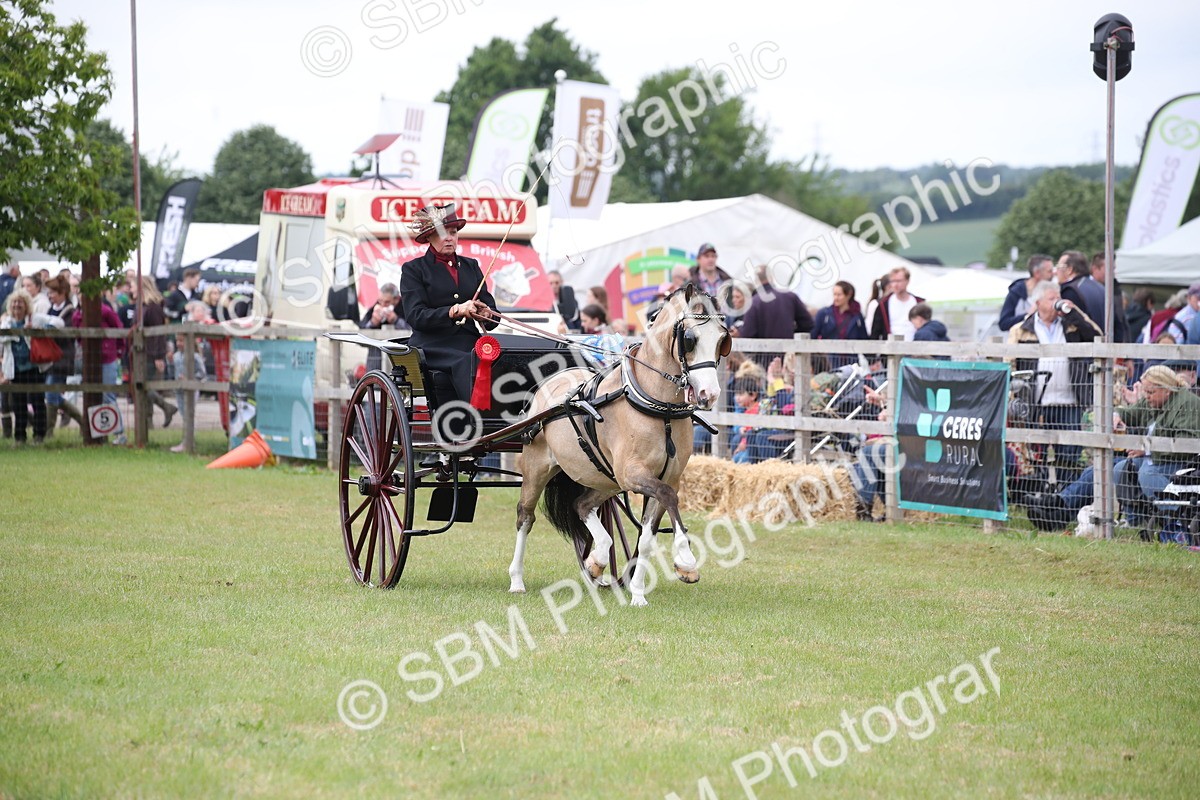 SBM_05871 - Class 12-15 - HOYS Private Driving
