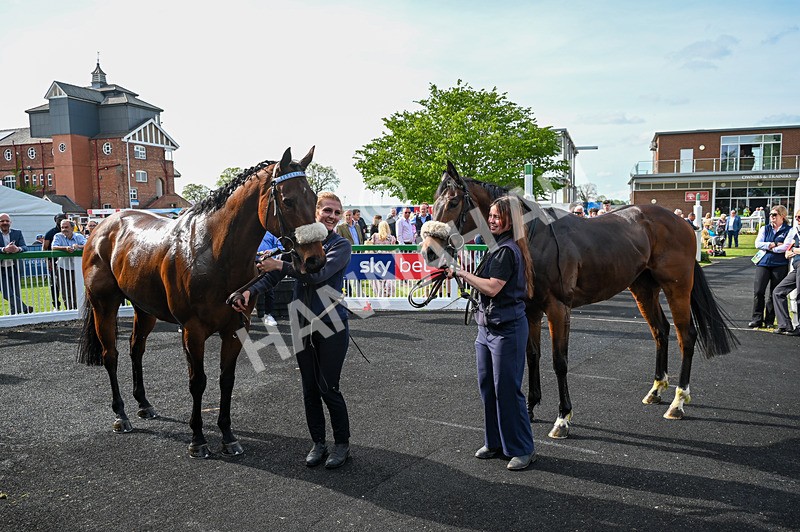020526-Race 6-Kinetic Force-0192 - Race 6 4.25pm Every Race Live On Racing TV Handicap