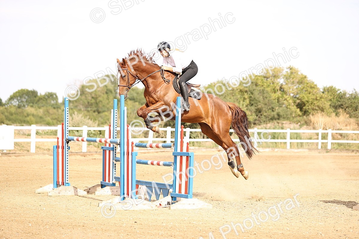 SBM_001740 - Class 7 - Senior  1.15m Open