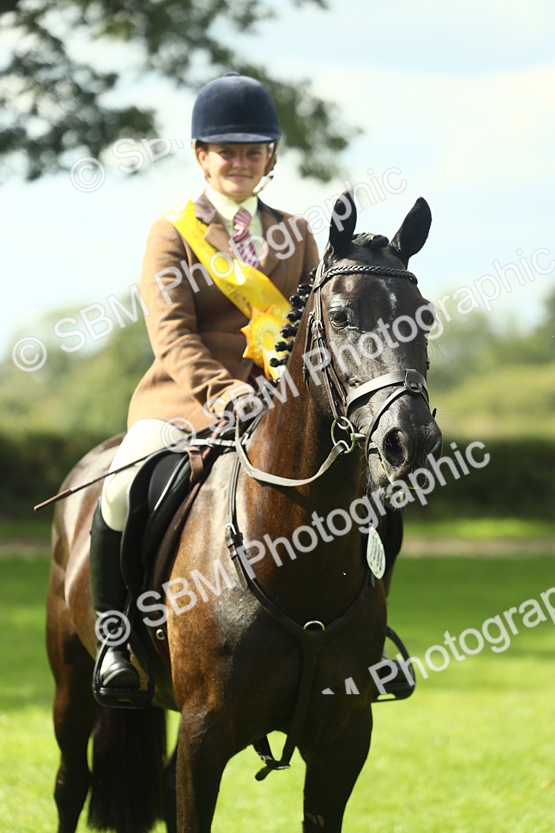 SBM_44972 - Working Hunter Pony Supreme Championship