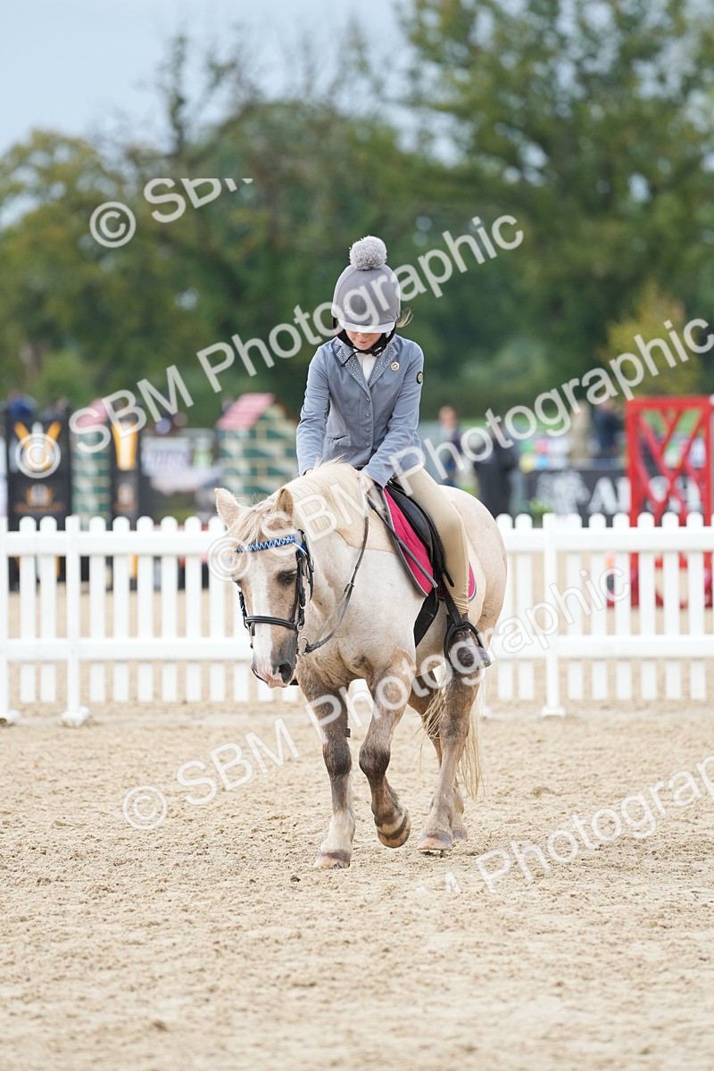 SBM_32398 - J5 - Junior Pony 50cm Championship