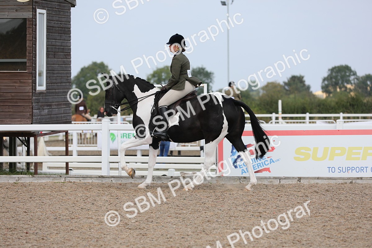 SBM_13474 - Class 308 Ridden Coloured Horse