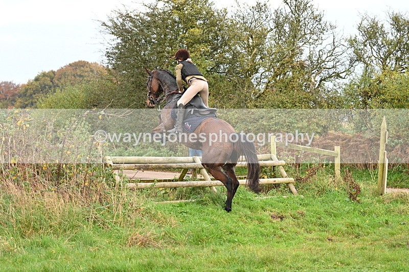 WJ7_0296 - Camera 1 & Last fence
