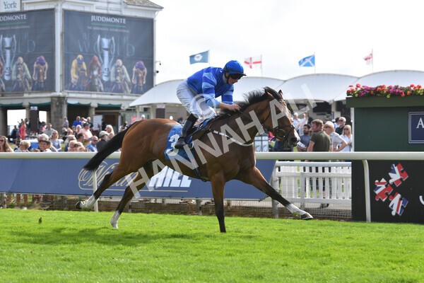 yr08072022r7-34 - Race 7 5.30pm Jigsaw Sports Branding Handicap