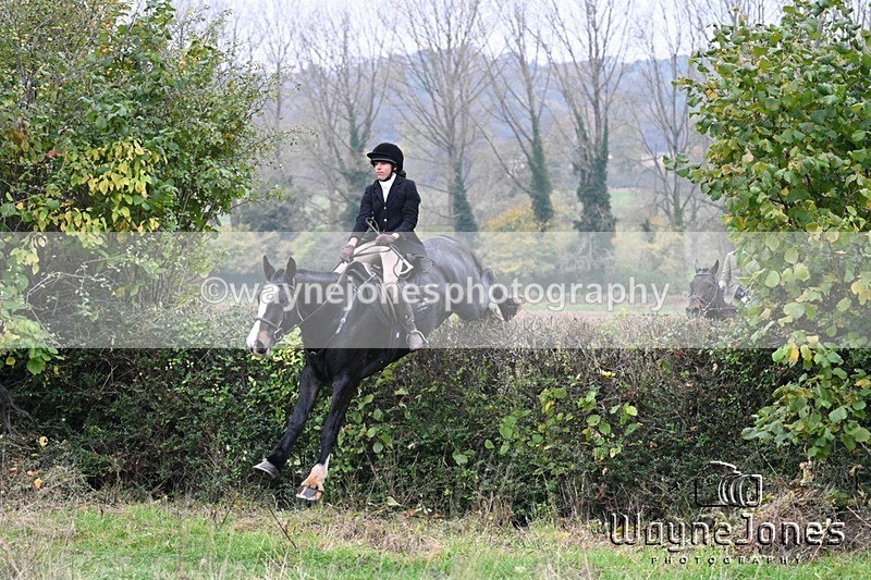 WJ7_8373 - Edited Examples