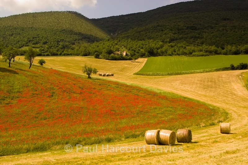  - ITALY - Home