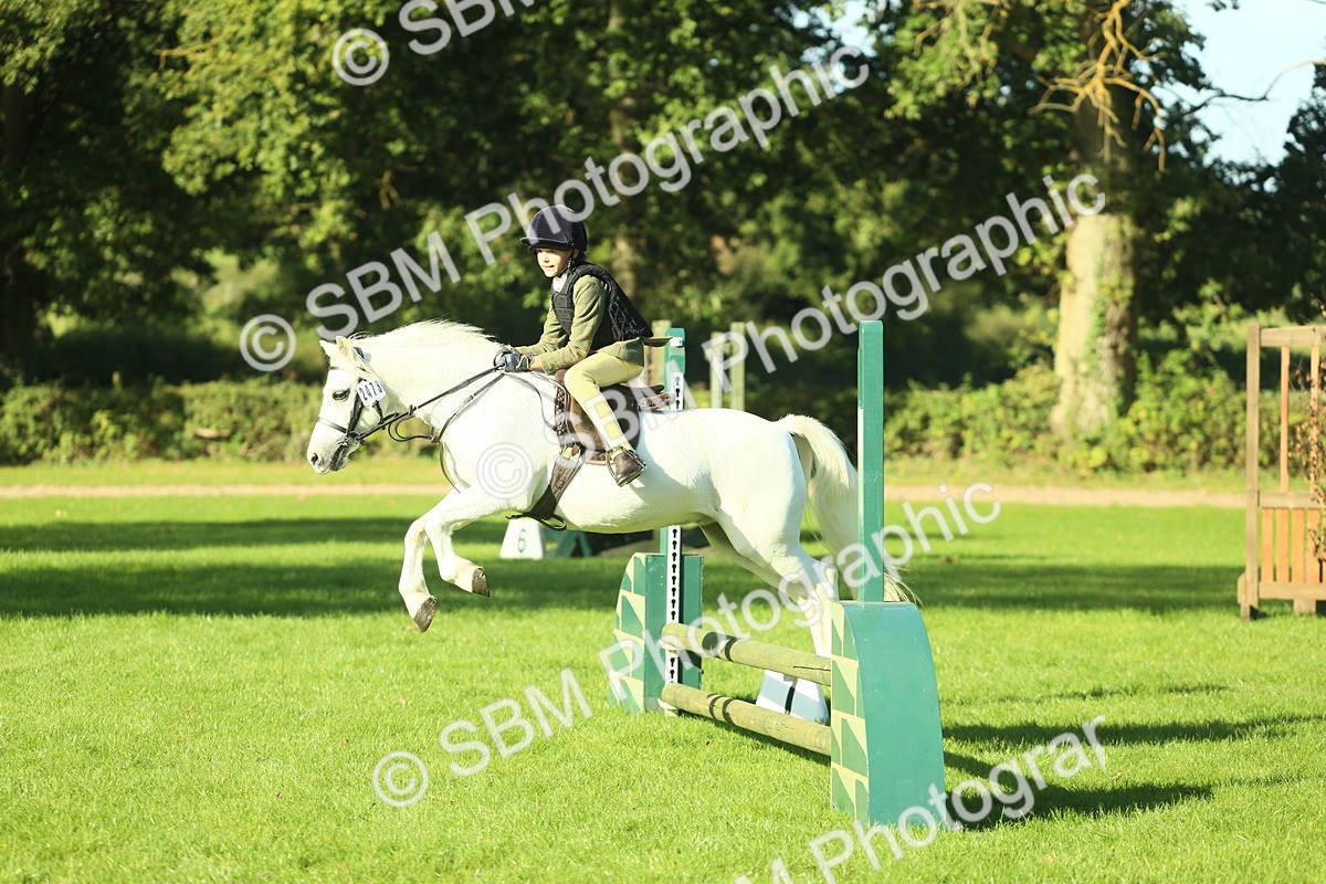 SBM_36384 - S29 - Novice & Newcomers Working Hunter Pony