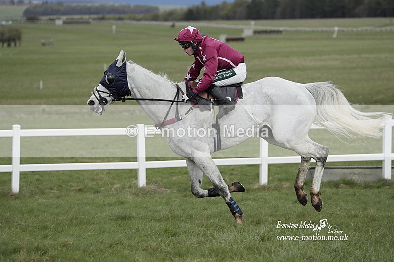 PtP 260323 0421 - New Forest Hounds Point-to-Point Larkhill 26/03/23