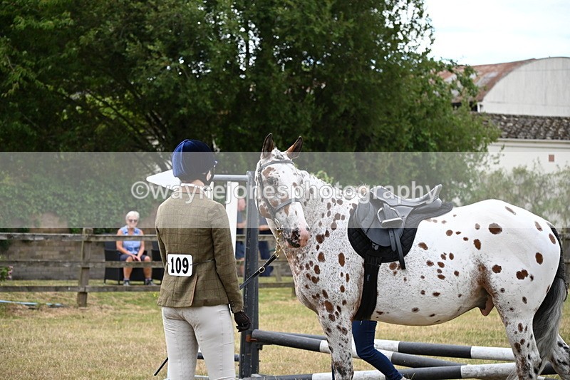 WJ6_3834 - Class 9 Tack & Turnout