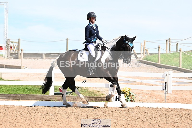240816A-142223-05572 - 275-Alys.Matravers-Tiger.Mazariti