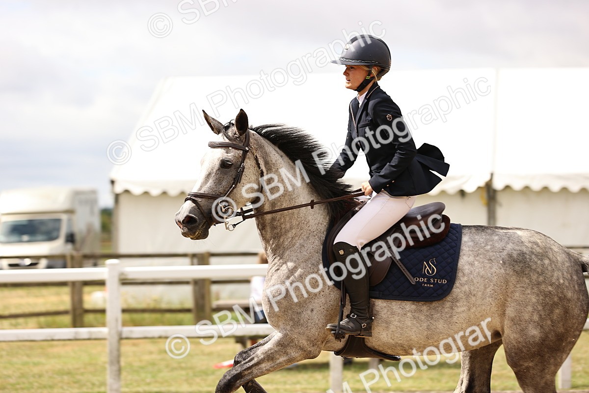 SBM_012974 - Class 13 - Senior British Novice - 90cm Open