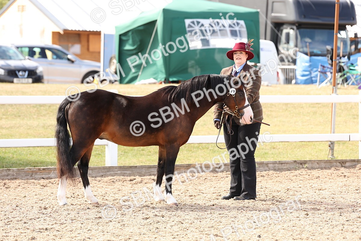 SBM_15035