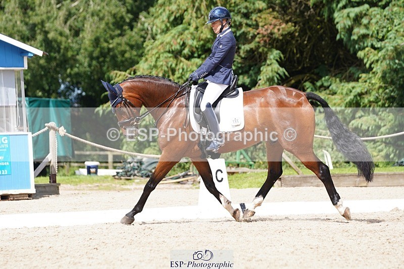 240721-151146-09997 - 195-Dawn_Bear-First_Taylor_Made