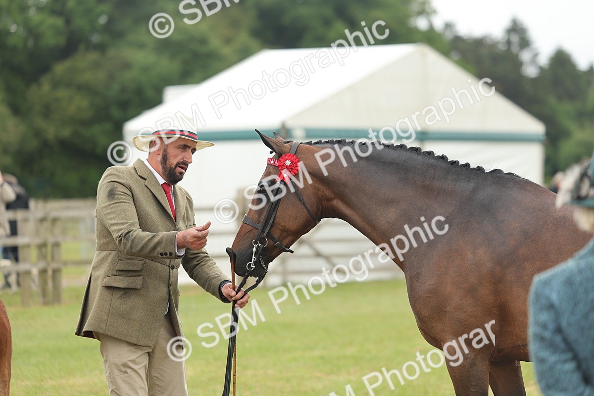 SBM_05514 - Class 68-73 - Riding Pony Breeding