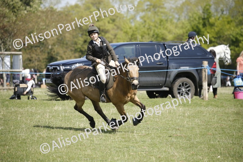 20250427-3480 - Class 14 - Absolute Novice 70cm