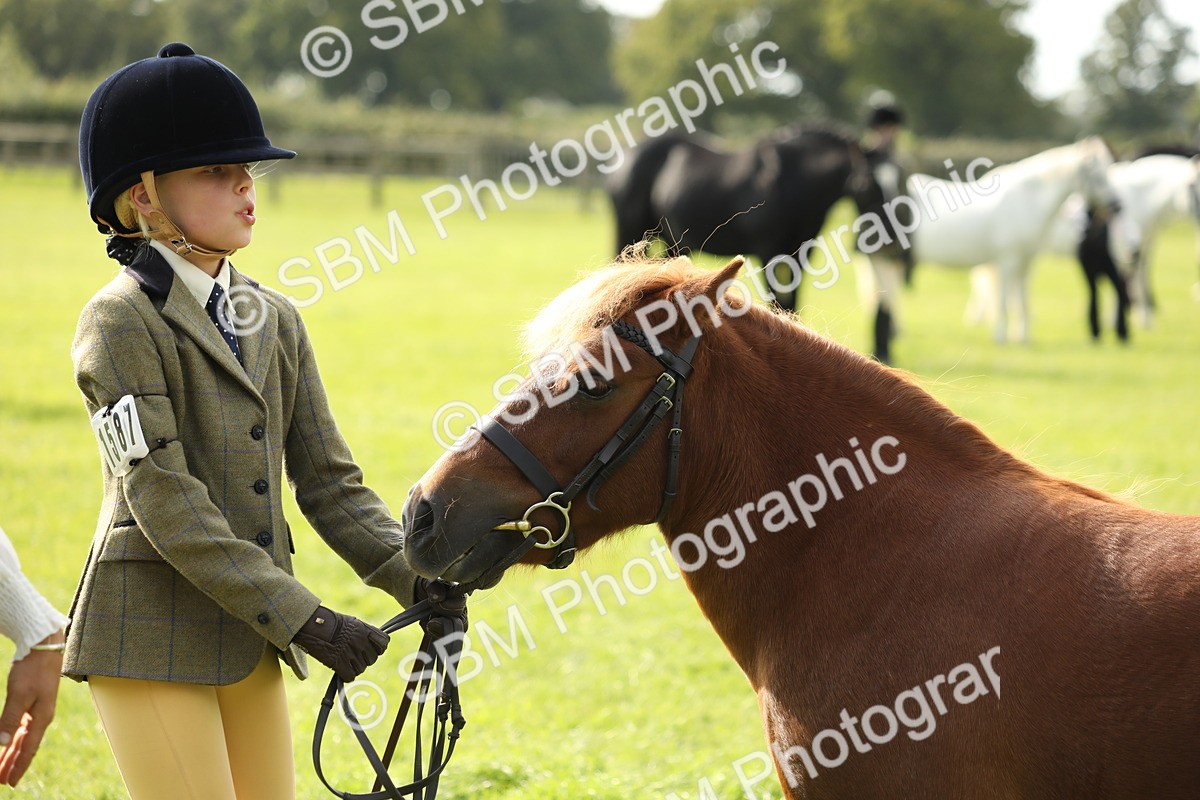 SBM_68650 - S40 - Junior Handler 9-12 Years