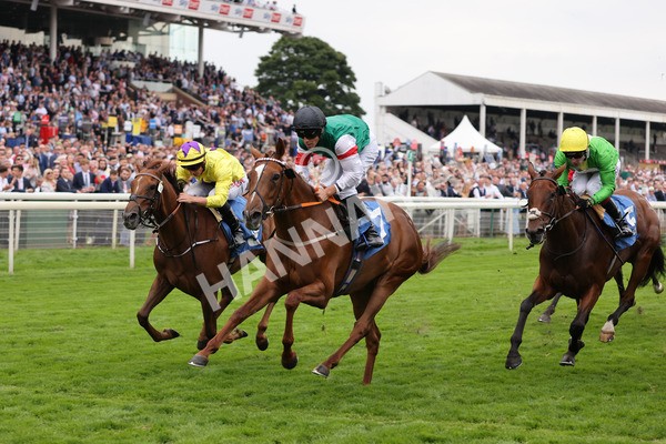 yr20082021r6-26 - Race 6 4.40pm Assured Data Protection British EBF Fillies' Stakes