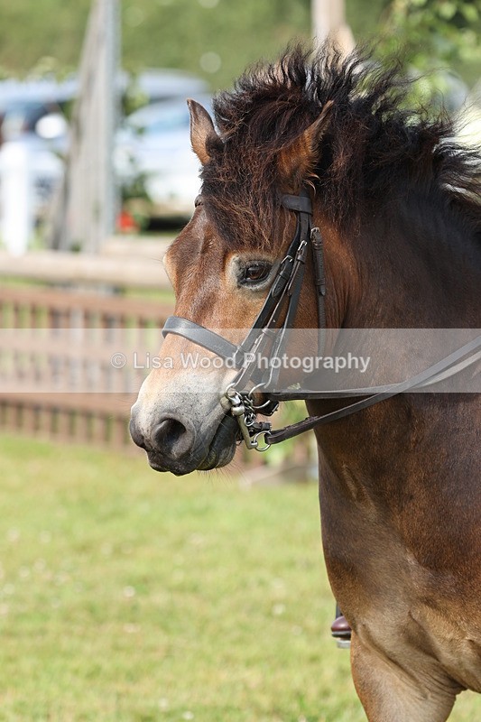 JPP_0778 - Class 16: Cornish Combination Young Rider