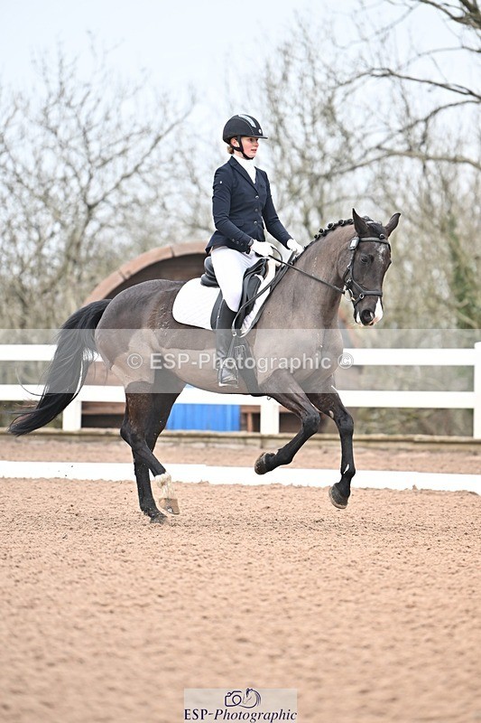 250216-100317-04544 - 120-saska.ingham-Fantasma