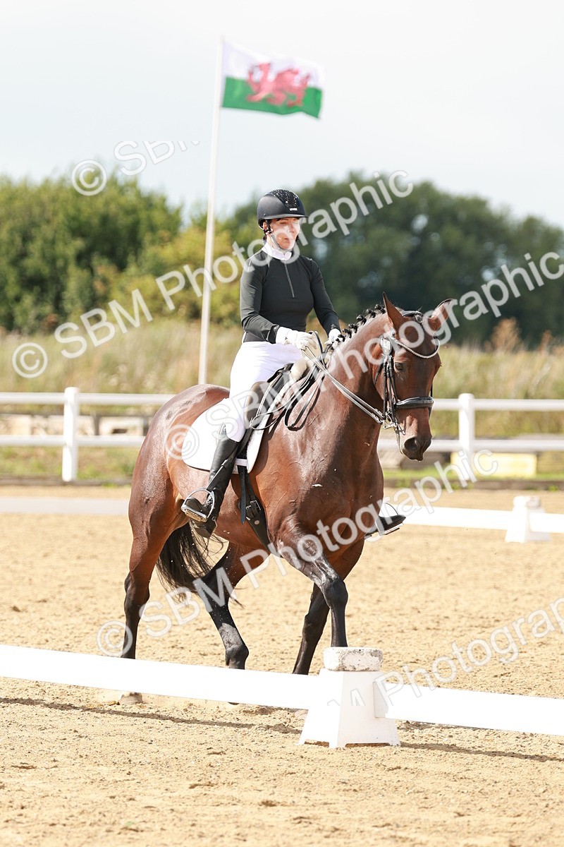 SBM_002445 - Class 11 - Medium 6