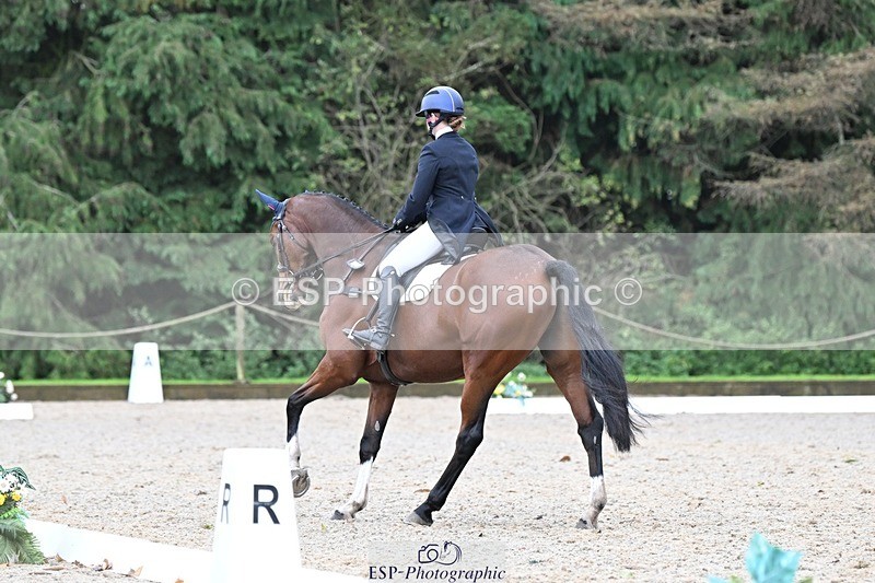 231019-113855-01866 - 040-DODINGTON-Sophie.Wildern-DR