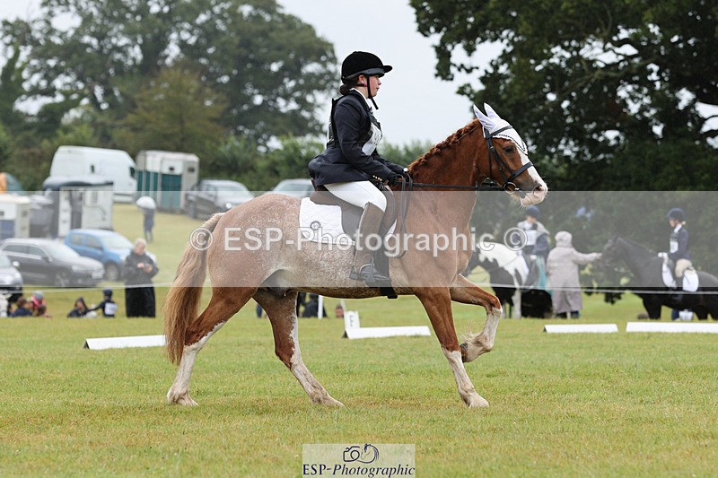 240824X-102222-22228_D70 Section C and D 930 to 1100 - 075-573-3404