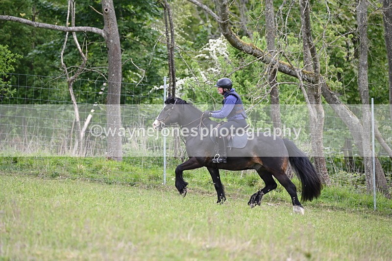 WJ6_1448 - Group 3 A&B Cameras