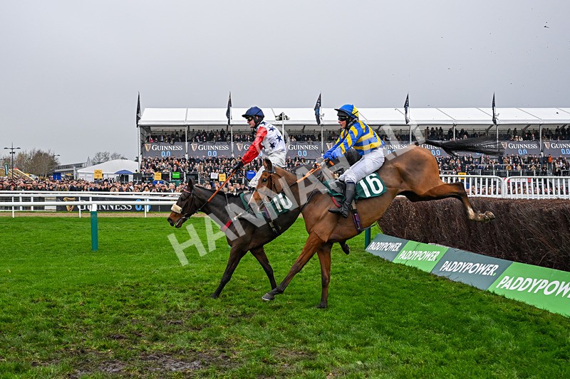 151125-Race 2-Hung Jury-2839 - Race 2
