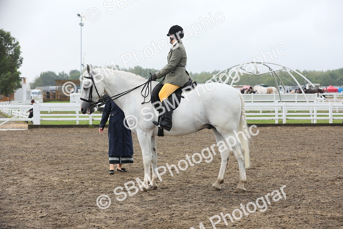 SBM_21281 - Class 805 - Ridden Veteran Horse