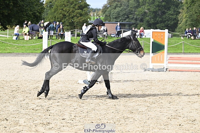 251005A-125625-03971 - Cls 08 Mini 70-75cm