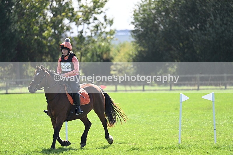 WJ7_1282 - Time 13:56 to 14:24