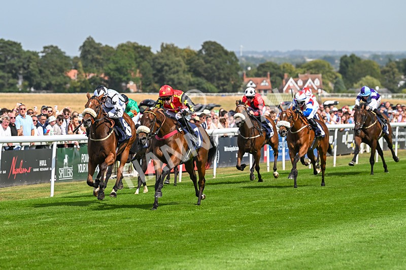 130825-Race 1-Arduis Invicta-6718 - Race 1