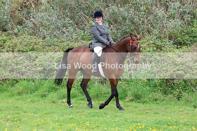 3E7A1674 - Class 9: Riding Club Horse/Pony