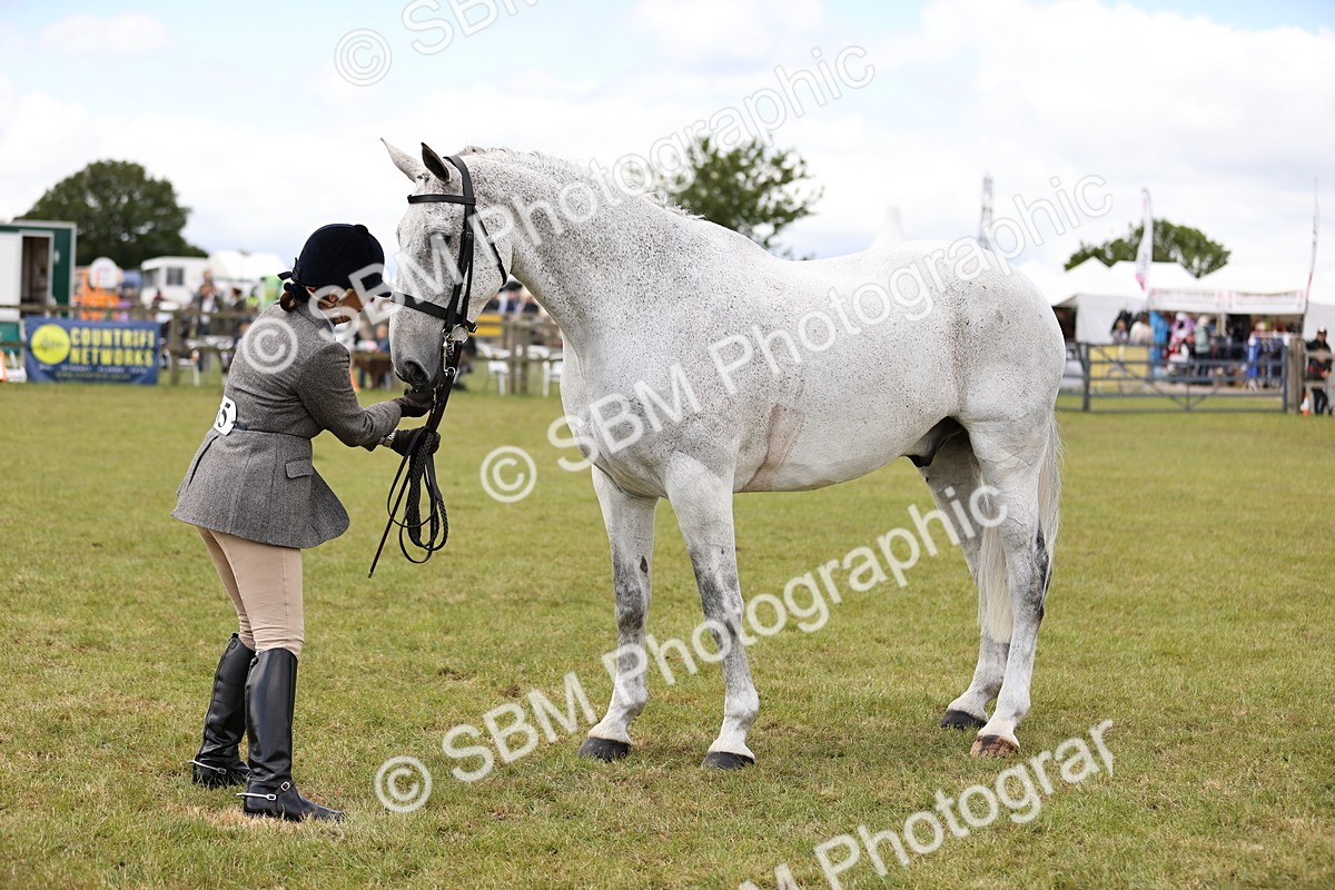 SBM_14732 - Class 88-89 - LIHS BSHA Rising Star of Ridden Hunter Type