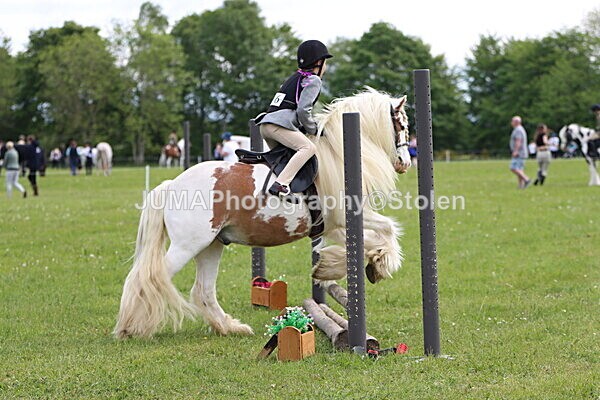 IMG_2438 - Working Hunter
