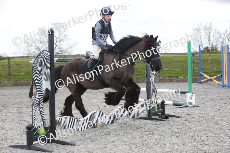 20260412-0602 - Show Jumping