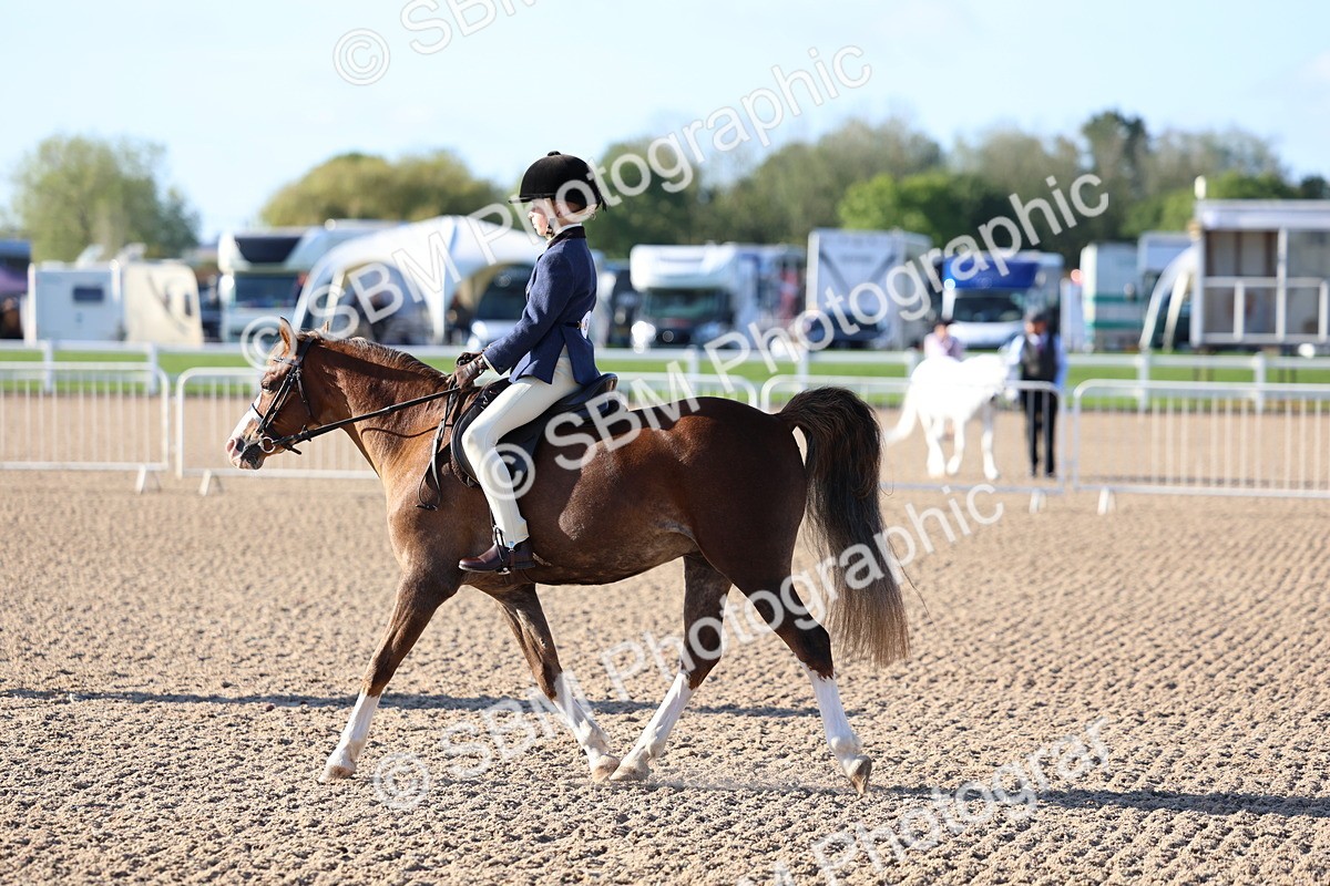 SBM_07842 - Class 301 - Ridden M&M - Small Breeds