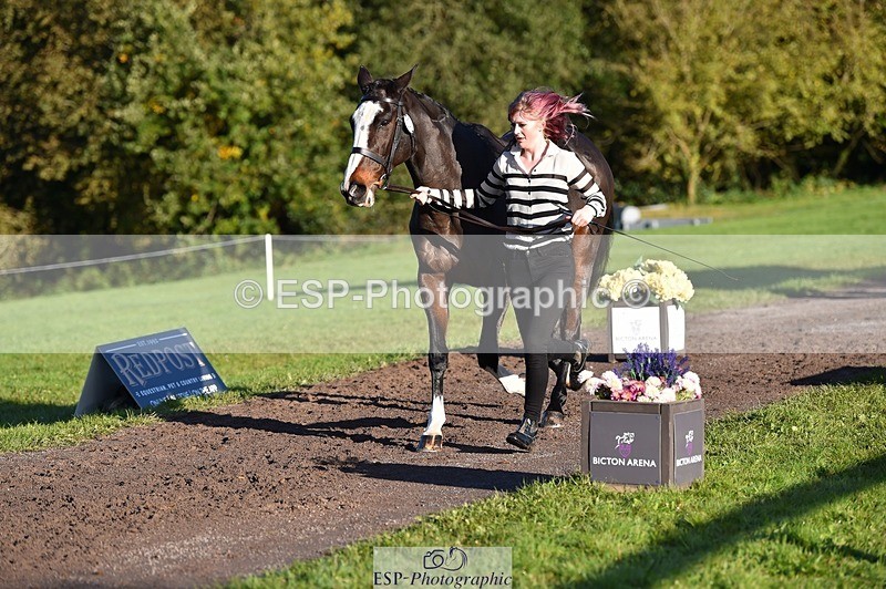 231022-093804-21932 - 427-COMBE.BREEZE-Gemma.Wells-TrotUp+SJ
