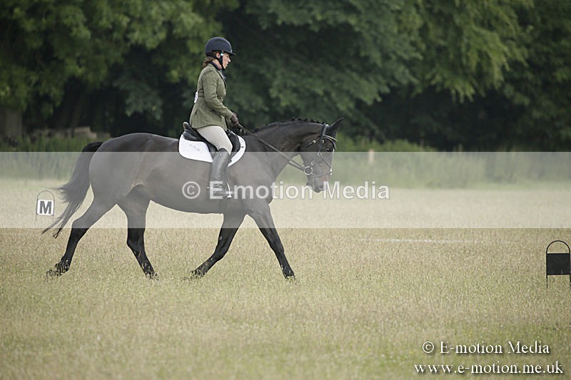 B230619-0143 - Bourne Valley Riding Club Summer Show 23/06/19