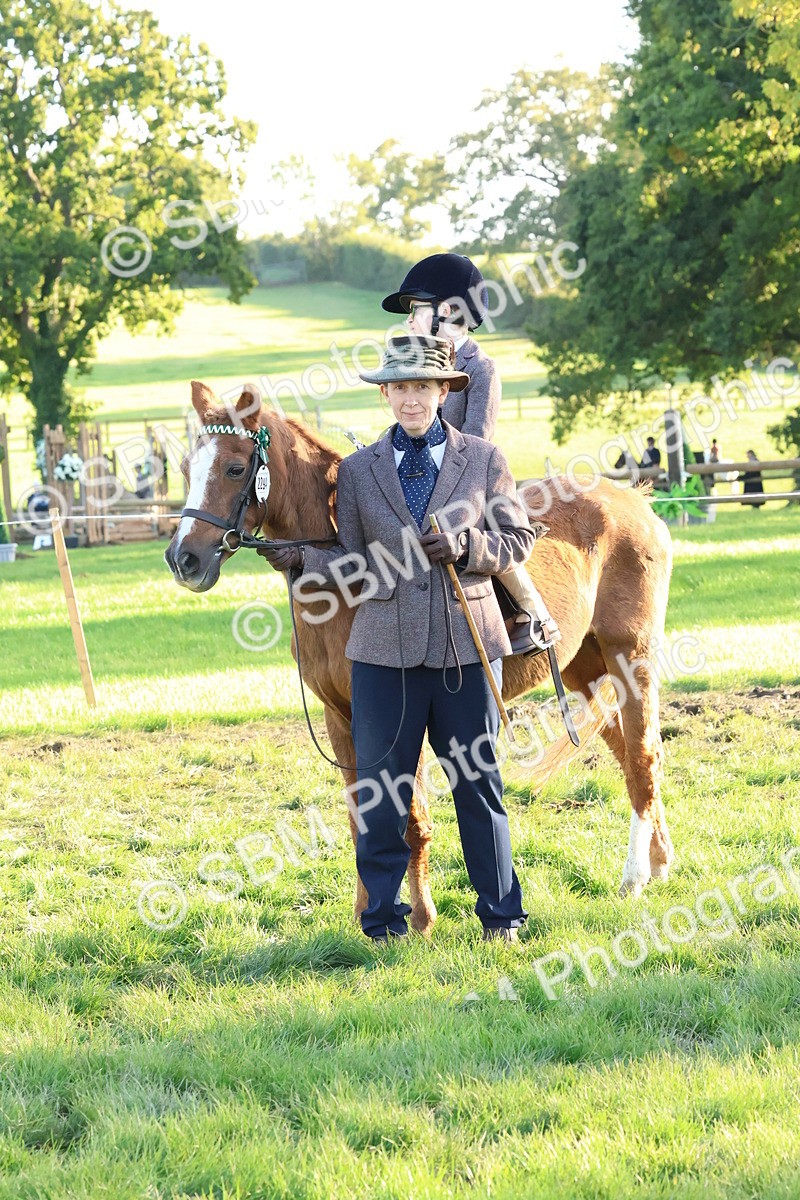 SBM_53037 - S29 - Mature Veteran Ridden