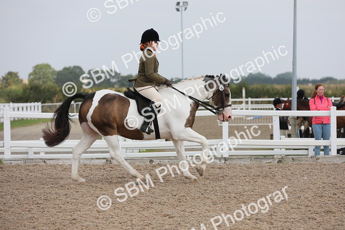SBM_12683 - Class 307 Ridden Coloured Pony