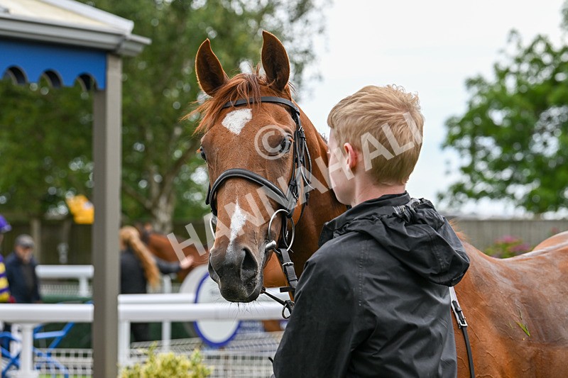 040725-Race 1-Golden Palace-4024 - Race 1