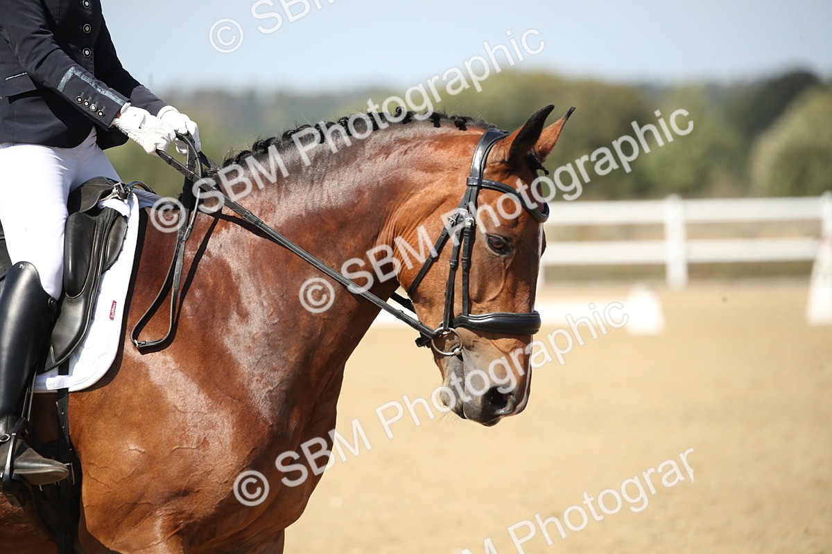 SBM_004987 - Class 11 - Novice 5 - 11.41-12.58
