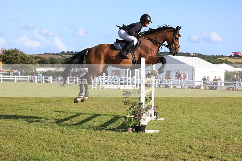 3E7A4520 - Class C: Showjumping Senior Foxhunter