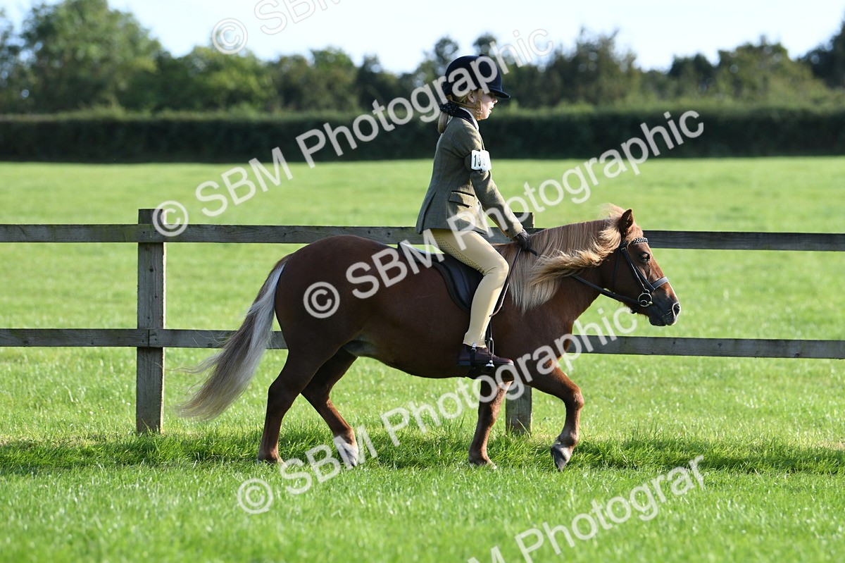 SBM_54001 - S23 - 1st Ridden Mountain & Moorland Pony