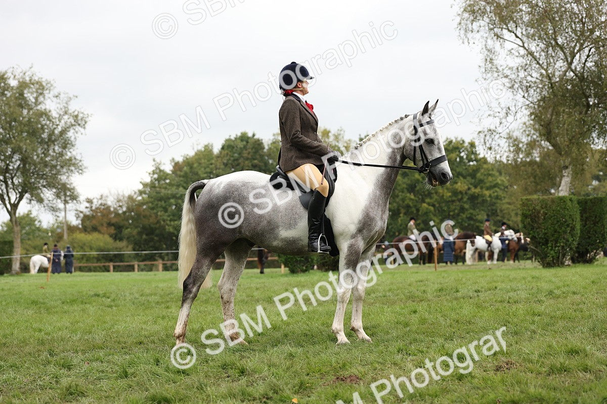 SBM_69904 - S68 - Other Coloured Horse Ridden